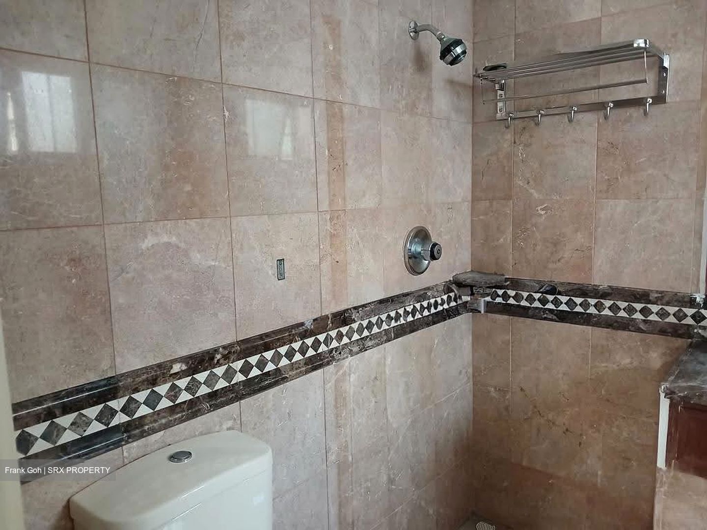 Dover Parkview (D5), Condominium #606928891
